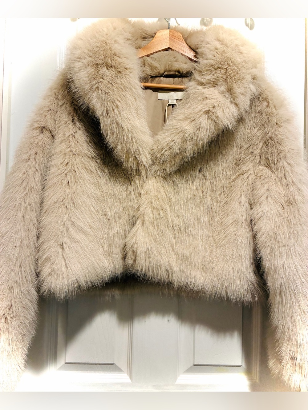 Zara Plush Faux-Fur Cropped Jacket in Light Beige